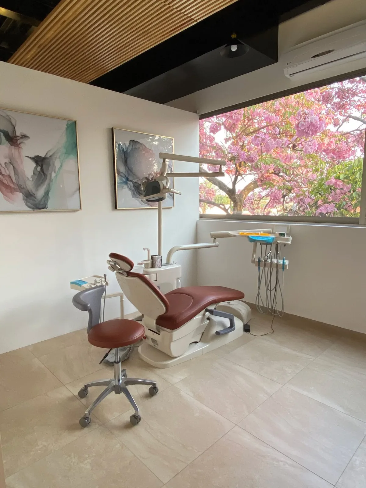 Consultorio moderno de DentArte en Cuernavaca
